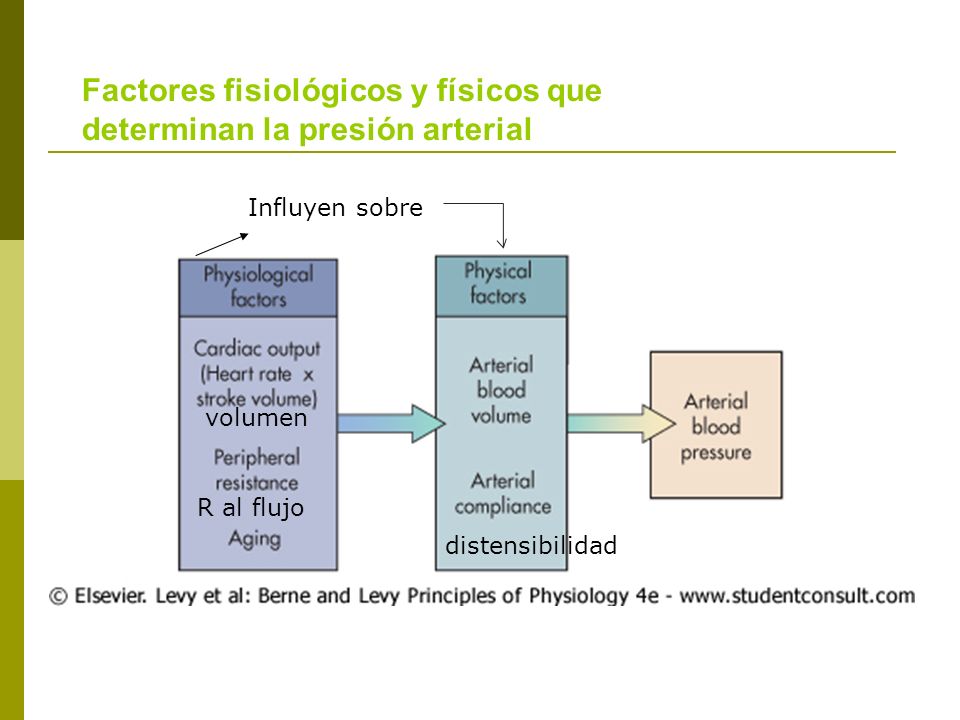 Factores que influyen en la presion arterial